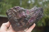 Natural XXX Rare Sugilite Rough Specimens  x 7 From Zambia - TopRock