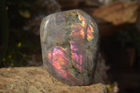 Polished Rare Purple Flash Labradorite Standing Free Forms x 2 From Tulear, Madagascar