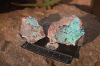 Natural Drusy Coated Chrysocolla Dolomite Specimens x 3 From Congo