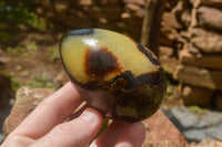 Polished Septaria Dragon's Eggs (Calcite & Aragonite) x 5 From Mahajanga, Madagascar - TopRock