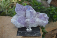 Natural Jacaranda Amethyst Clusters x 2 From Mumbwa, Zambia - TopRock