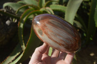 Polished Red Podocarpus Petrified Wood Standing Free Forms x 2 From Mahajanga, Madagascar