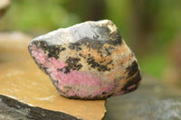 Polished One Side Polished Rhodonite Free Forms  x 5 From Madagascar - TopRock