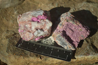 Natural Salrose Cobaltion Dolomite Specimens x 12 From Kakanda, Congo