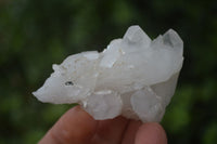 Natural Small Clear Quartz Clusters  x 24 From Madagascar