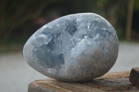 Natural Blue Celestite Crystal Centred Egg x 1 From Sakoany, Madagascar - Toprock Gemstones and Minerals 