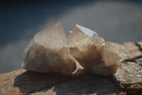 Natural Cascading White Phantom Smokey Quartz Crystals  x 35 From Luena, Congo - Toprock Gemstones and Minerals 