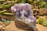 Natural Large Jacaranda Amethyst Cluster x 1 From Mumbwa, Zambia - TopRock