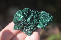 Natural Chatoyant Silky Malachite Specimens  x 12 From Kasompe, Congo - Toprock Gemstones and Minerals 