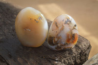 Polished Dendritic Agate Standing Free Forms  x 6 From Moralambo, Madagascar