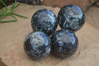 Polished Merlinite Gabbro Spheres  x 4 From Madagascar - Toprock Gemstones and Minerals 