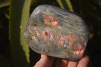 Polished Rare Purple Flash Labradorite Standing Free Forms x 2 From Tulear, Madagascar