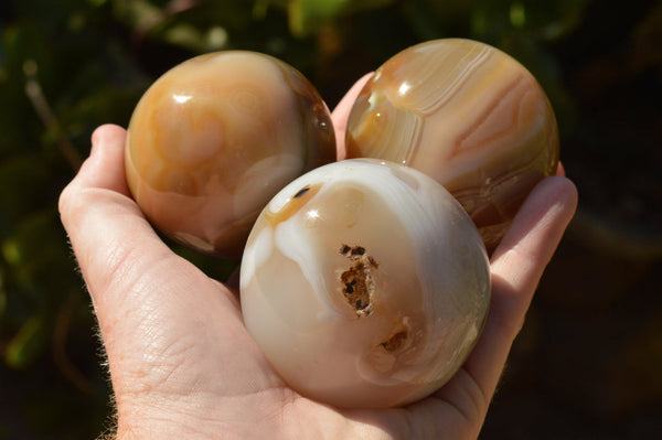 Polished Stunning Selection Of Banded Agate Spheres  x 5 From Madagascar - TopRock