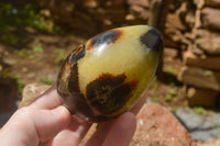 Polished Septaria Dragon's Eggs (Calcite & Aragonite) x 5 From Mahajanga, Madagascar - TopRock