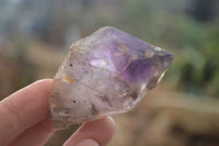 Natural Royal Zulu Window Amethyst Crystals x 12 From, South Africa