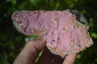 Natural Pink Salrose Cobaltion Dolomite Specimens  x 3 From Kakanda, Congo