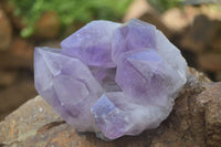 Natural Jacaranda Amethyst Clusters x 2 From Mumbwa, Zambia - TopRock