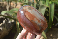 Polished Red Podocarpus Petrified Wood Standing Free Forms x 2 From Mahajanga, Madagascar