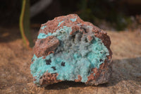 Natural Drusy Coated Chrysocolla Dolomite Specimens x 3 From Congo