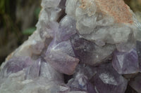 Natural Jacaranda Amethyst Cluster x 1 From Mumbwa, Zambia - TopRock