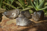 Natural Large Smokey Quartz Crystals  x 4 From Mulanje, Malawi - Toprock Gemstones and Minerals 