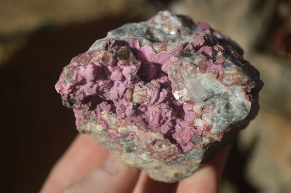 Natural Salrose Cobaltion Dolomite Specimens x 12 From Kakanda, Congo