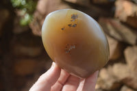 Polished Dendritic Agate Standing Free Forms  x 6 From Moralambo, Madagascar