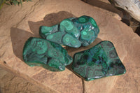 Polished Malachite Free Forms x 3 From Kolwezi, Congo