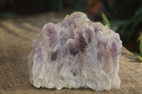 Natural Sugar Amethyst Clusters  x 6 From Solwezi, Zambia - Toprock Gemstones and Minerals 