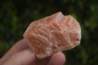 Natural New Sunset Orange Calcite Specimens  x 24 From Spitzkoppe, Namibia - Toprock Gemstones and Minerals 