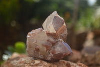 Natural Red Hematoid Quartz Crystal Clusters  x 12 From Karoi, Zimbabwe - TopRock