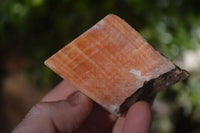 Natural New Sunset Orange Calcite Specimens  x 12 From Spitzkop, Namibia