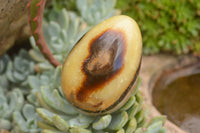 Polished Septaria Dragon's Eggs (Calcite & Aragonite) x 5 From Mahajanga, Madagascar - TopRock