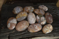 Polished Ocean Flower Agate Palm Stones  x 12 From Antsahalova, Madagascar