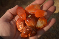 Polished  Carnelian Agate Tumble Stones  x 1 Kg Lot From Madagascar