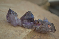 Natural Single Smokey Amethyst Crystals  x 20 From Chiredzi, Zimbabwe - Toprock Gemstones and Minerals 