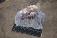 Natural Sugar Amethyst Clusters  x 6 From Solwezi, Zambia - Toprock Gemstones and Minerals 