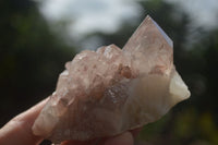 Natural Red Hematoid Quartz Crystal Clusters  x 12 From Karoi, Zimbabwe - TopRock