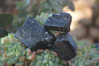 Natural Rough Schorl Black Tourmaline Crystals x 35 From Zimbabwe