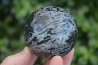 Polished Merlinite Gabbro Spheres  x 4 From Madagascar - Toprock Gemstones and Minerals 