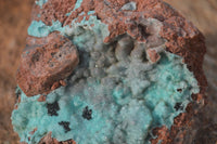 Natural Drusy Coated Chrysocolla Dolomite Specimens x 3 From Congo