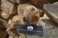 Polished Dendritic Agate Standing Free Forms  x 6 From Moralambo, Madagascar