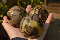 Polished Septerye (Calcite & Aragonite) Spheres x 5 From Mahajanga, Madagascar - TopRock