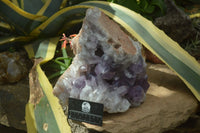 Natural Jacaranda Amethyst Cluster x 1 From Mumbwa, Zambia - TopRock