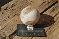 Polished Stunning Selection Of Banded Agate Spheres  x 5 From Madagascar - TopRock