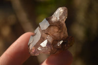 Natural Window Amethyst Crystal Specimens  x 12 From Chiredzi, Zimbabwe