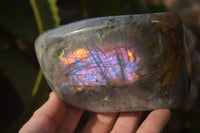 Polished Rare Purple Flash Labradorite Standing Free Forms x 2 From Tulear, Madagascar