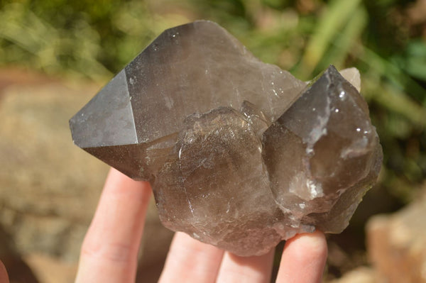 Natural Large Smokey Quartz Crystals  x 4 From Mulanje, Malawi - Toprock Gemstones and Minerals 