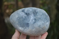 Natural Blue Celestite Crystal Centred Egg x 1 From Sakoany, Madagascar - Toprock Gemstones and Minerals 