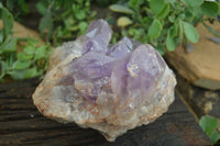 Natural Jacaranda Amethyst Cluster x 1 From Mumbwa, Zambia - TopRock